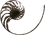nautilus