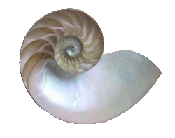 flusso
